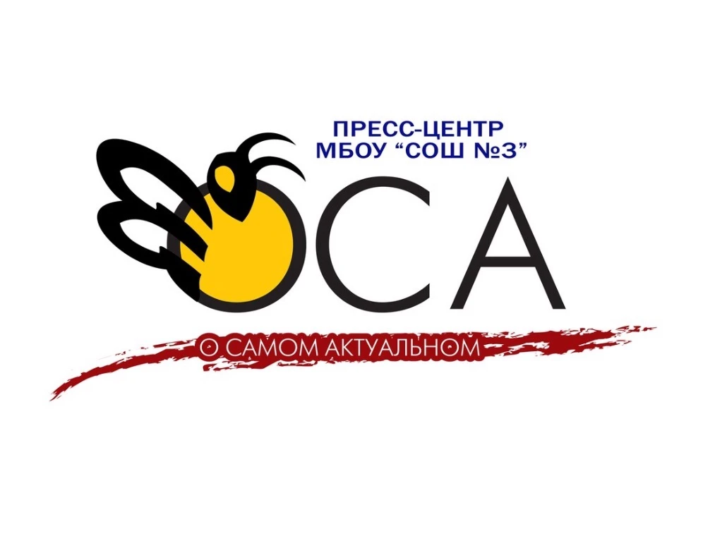 МБОУ «СОШ 3» г. Троицк Челябинской области