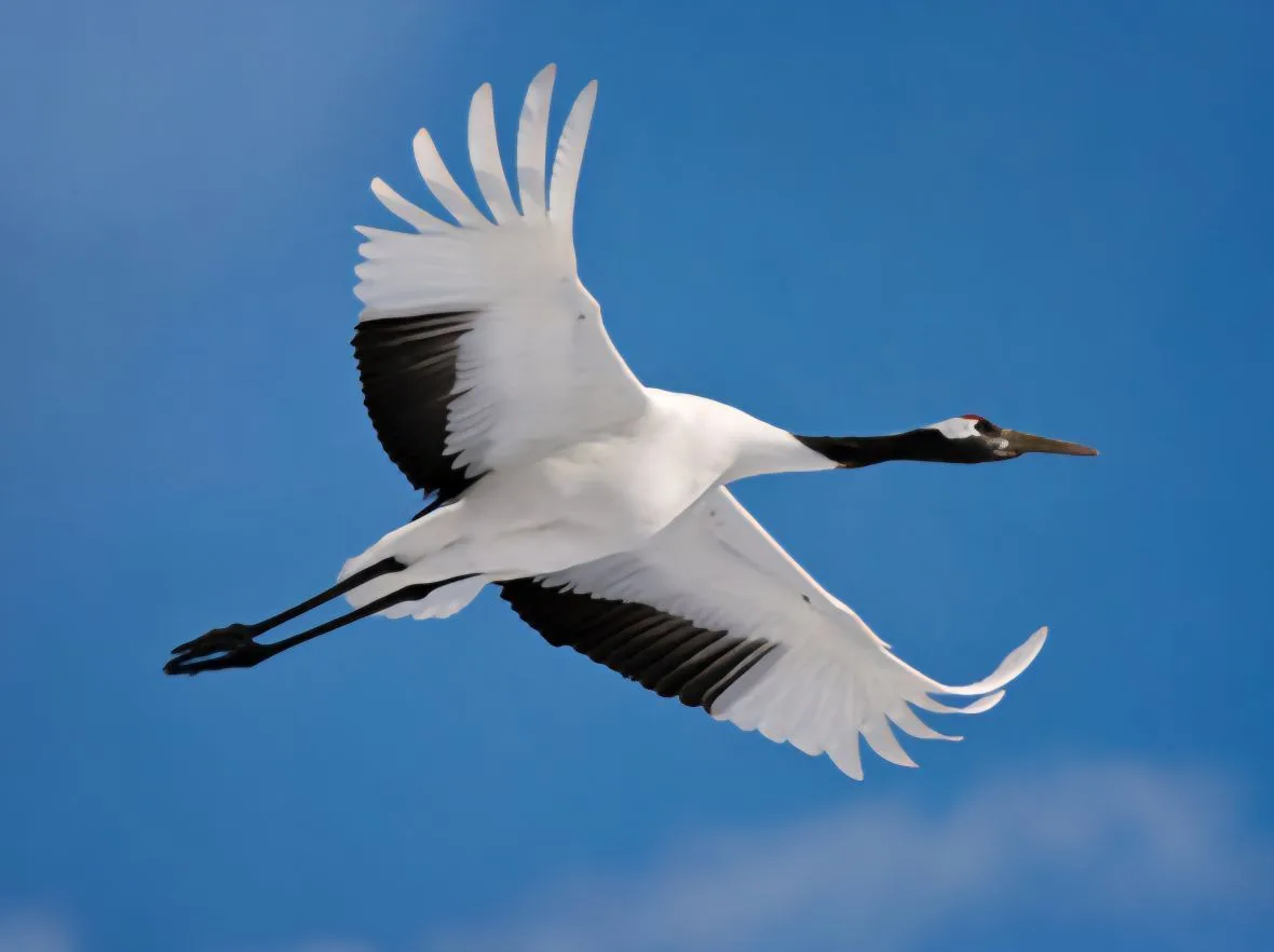 МКДОУ "Детский сад"ЖУРАВЛИК "с.Шодрода