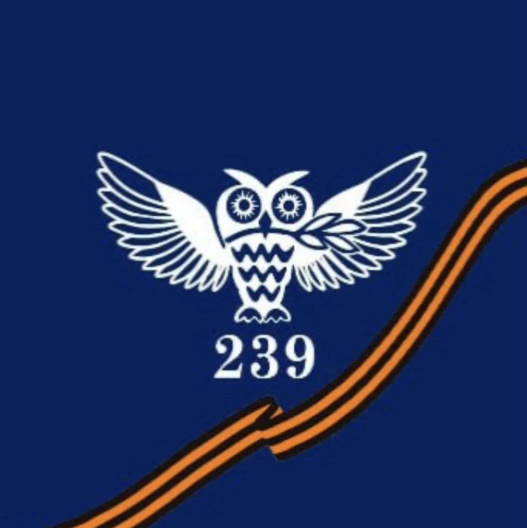 Президентский ФМЛ №239