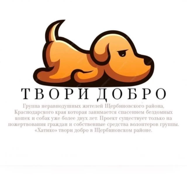 Щербиновский Хатико — канал в мессенджере MAX