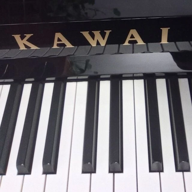 ДМШ 2 г. Анапа канал 🎼 — канал в мессенджере MAX