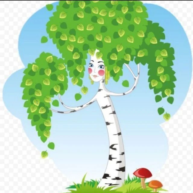 МБДОУ д/сад № 30 «Березка»