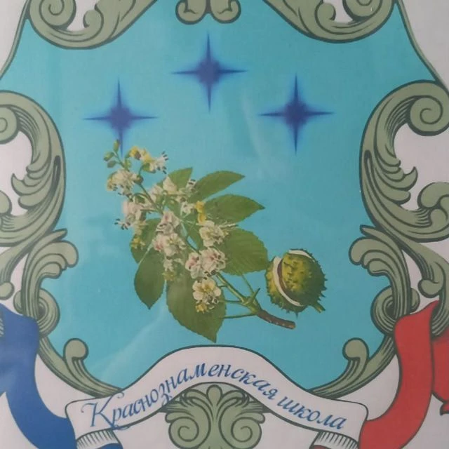 МБОУ "Краснознаменская школа"