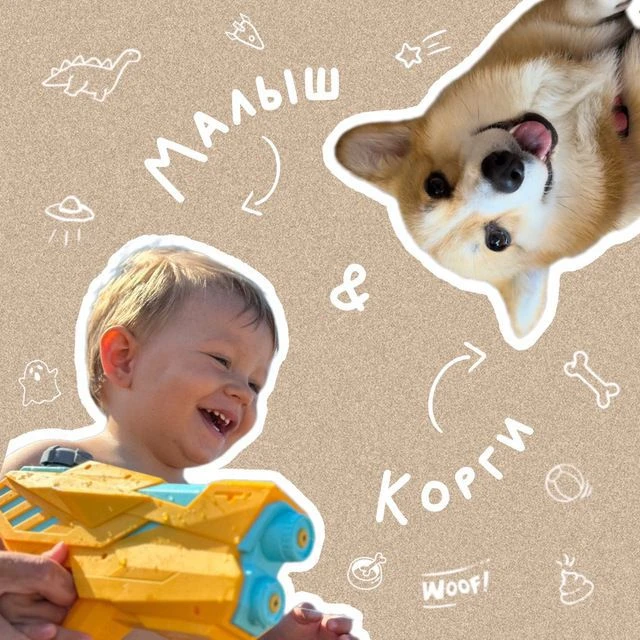 Малыш и корги — канал в мессенджере MAX