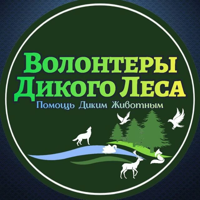 Волонтёры🦔«Дикого Леса»🐇 — канал в мессенджере MAX