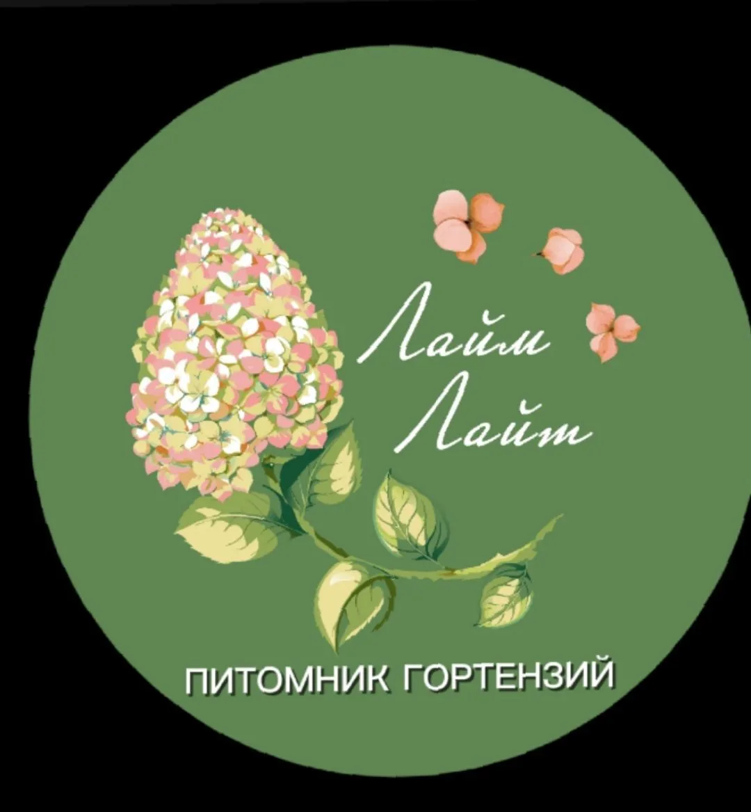 Лайм Лайт