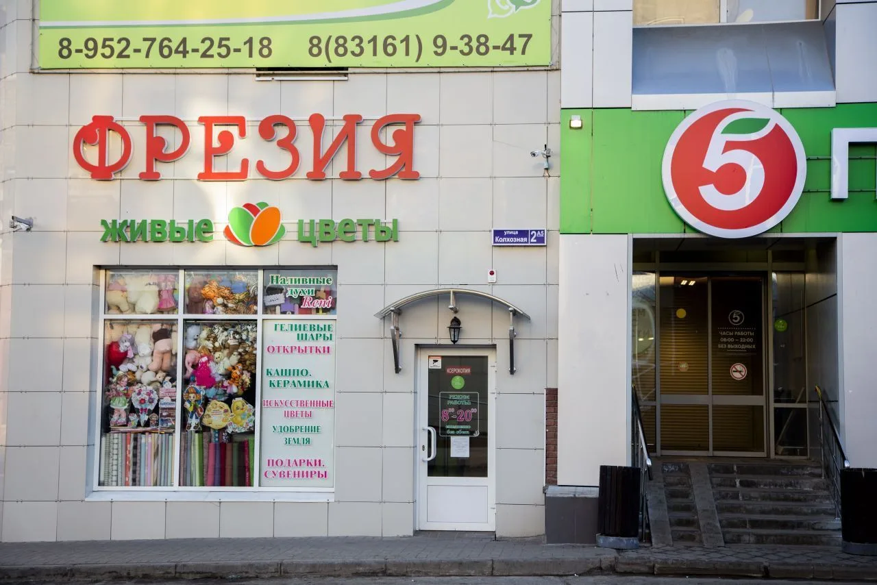 Цветы ГОРОДЕЦ ФРЕЗИЯ