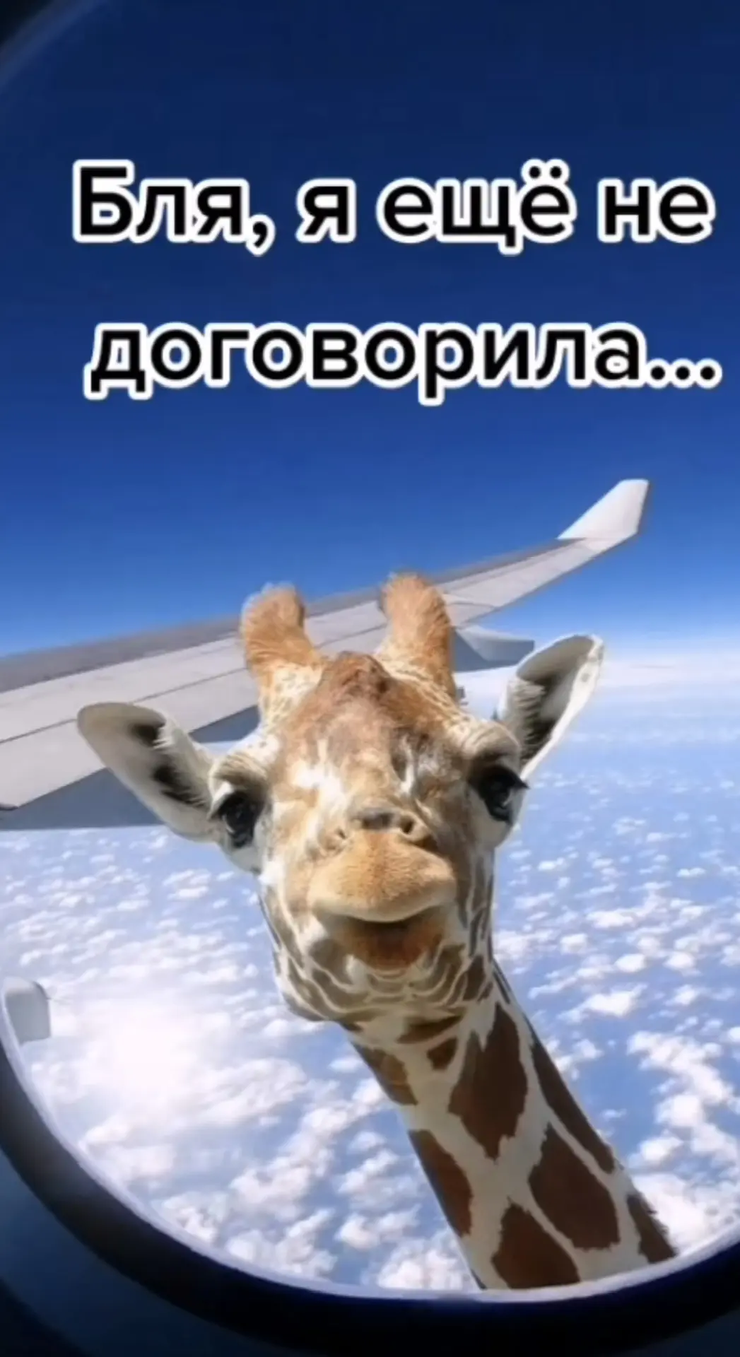 Всякое разное 😁 — канал в мессенджере MAX