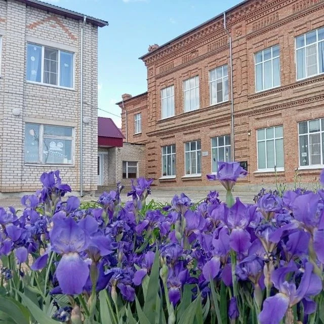 МКОУ,, Царевская СОШ "