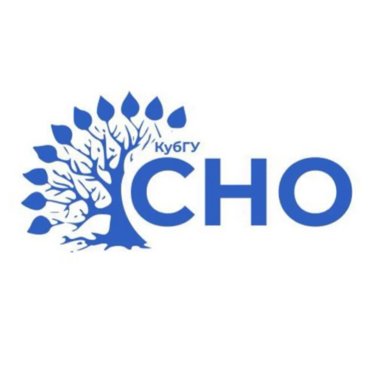 СНО КубГУ