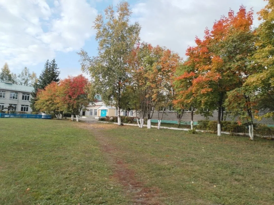 МБОУ "Шераутская СОШ"