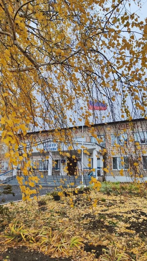 ГБОУ СОШ с. Новое Якушкино