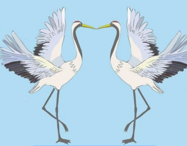 Детский сад № 51 г. Томска