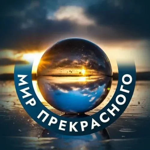 Мир прекрасного🌎/Животные/Природа/Путешествия/Звери» — канал в мессенджере MAX