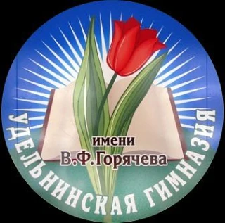 Удельнинская гимназия,Раменский муниципальный округ — канал в мессенджере MAX