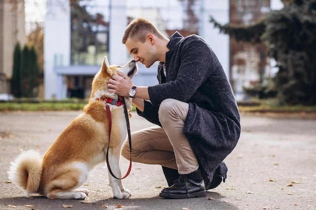 Собаки Чаты 🐶