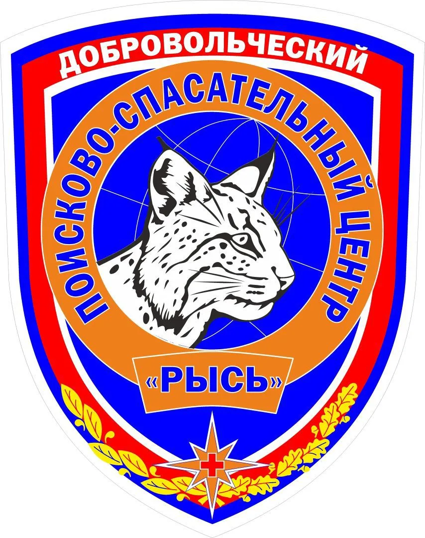 Поисково-спасательный центр "РЫСЬ" — канал в мессенджере MAX