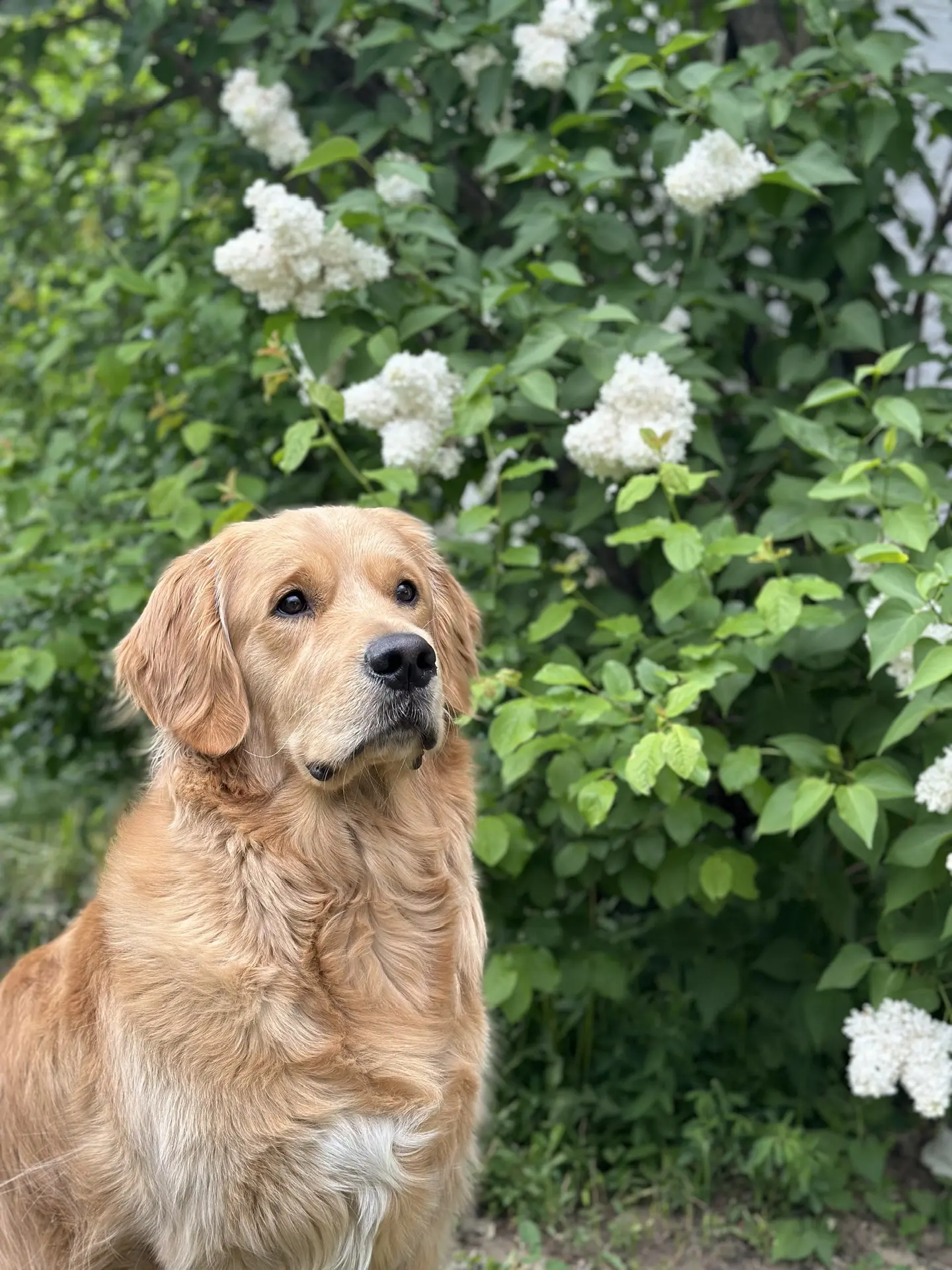 Лёва Ковалёк