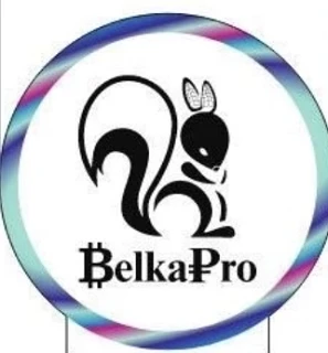 BelkaPro