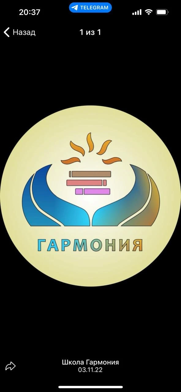 Школа "Гармония" Одинцовский городской округ