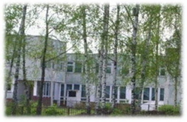 МБОУ «Мари-Биляморская СОШ им. Н. П. Венценосцева»