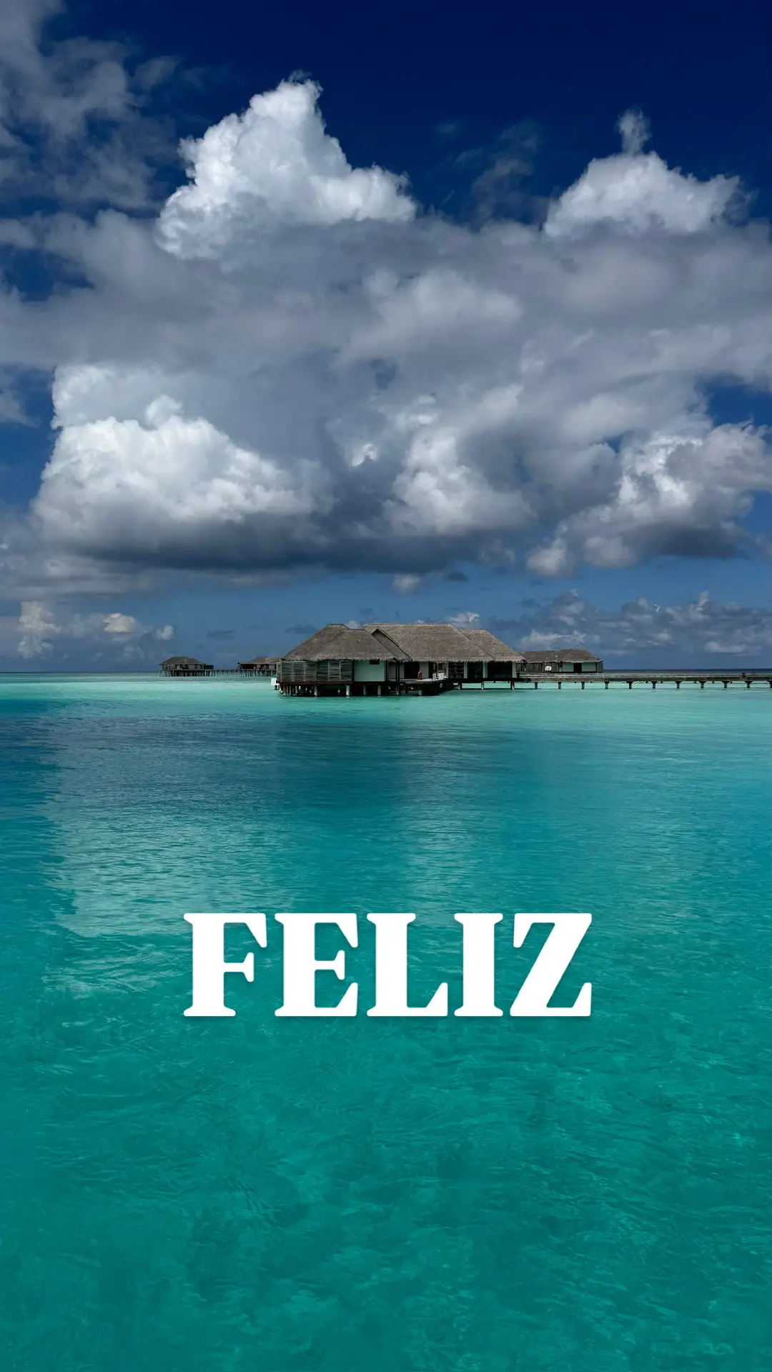 Путешествия ФЕЛИЗ 🌍 Турагентство