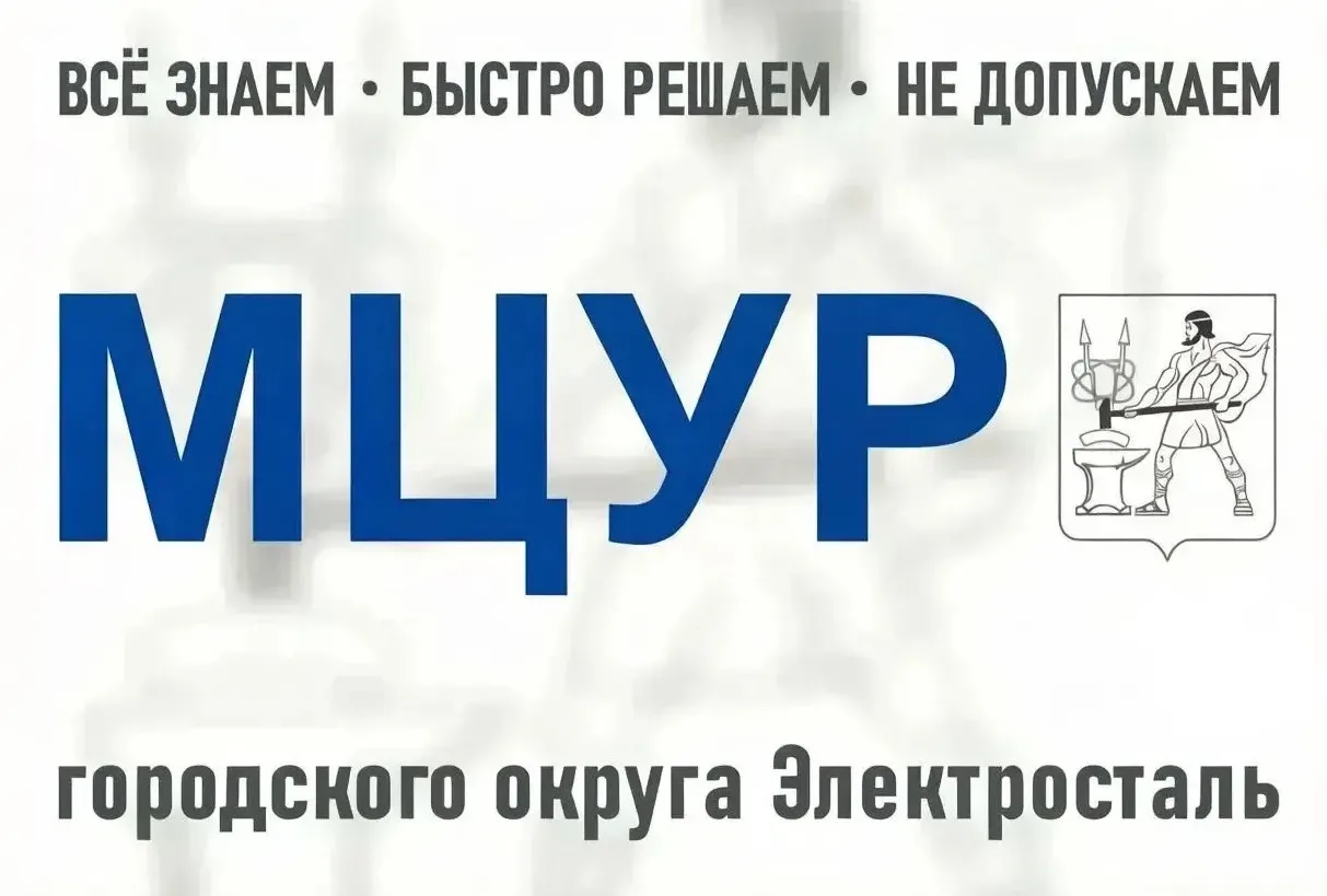 МЦУР  г.о. Электросталь МО — канал в мессенджере MAX