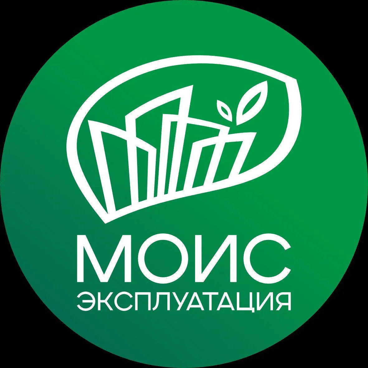 МОИС Эксплуатация