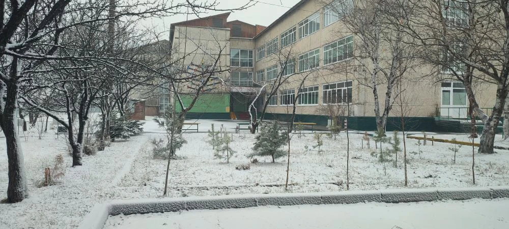 МБОУ "СОШ № 2 п. Новошахтинский"