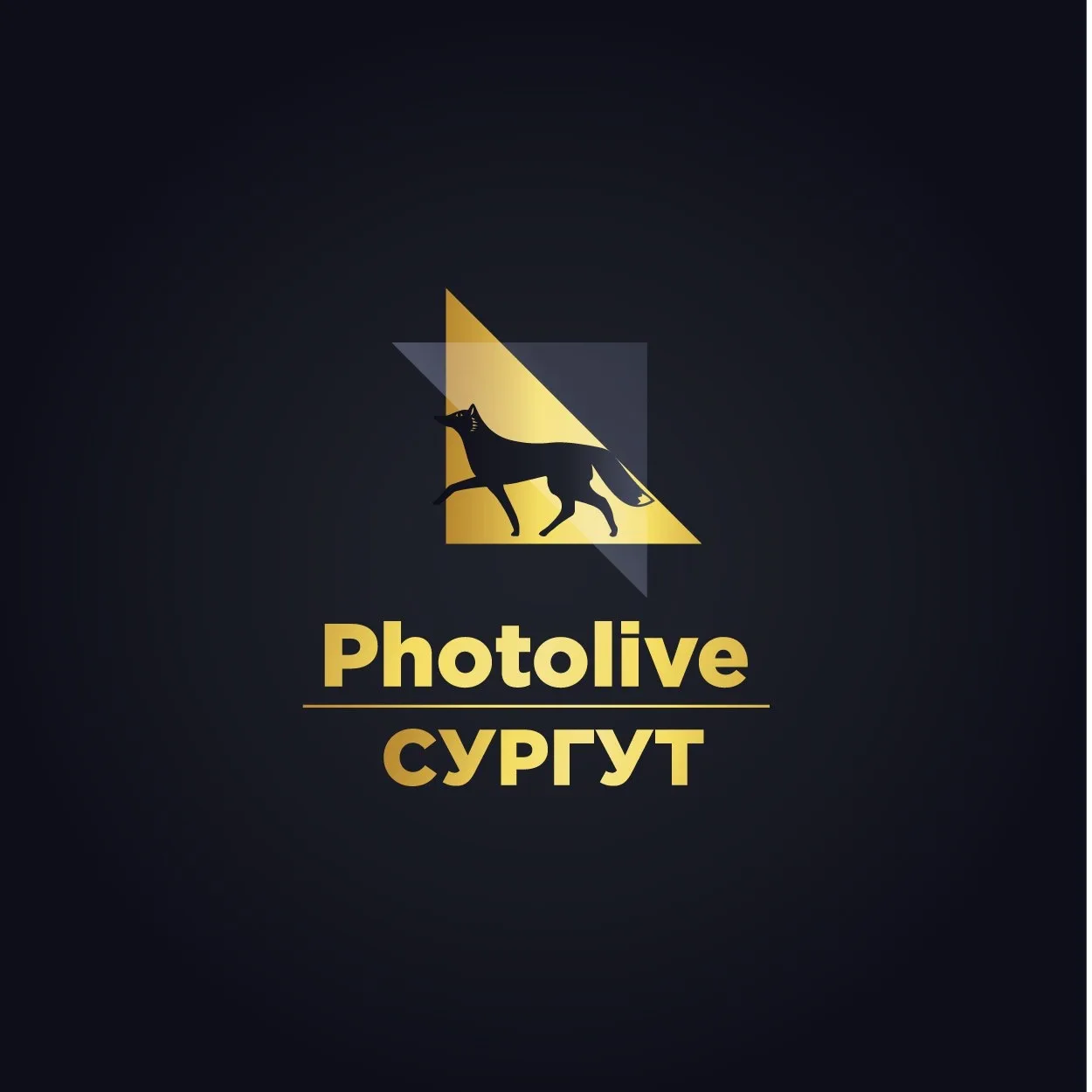 Сургут Photolive