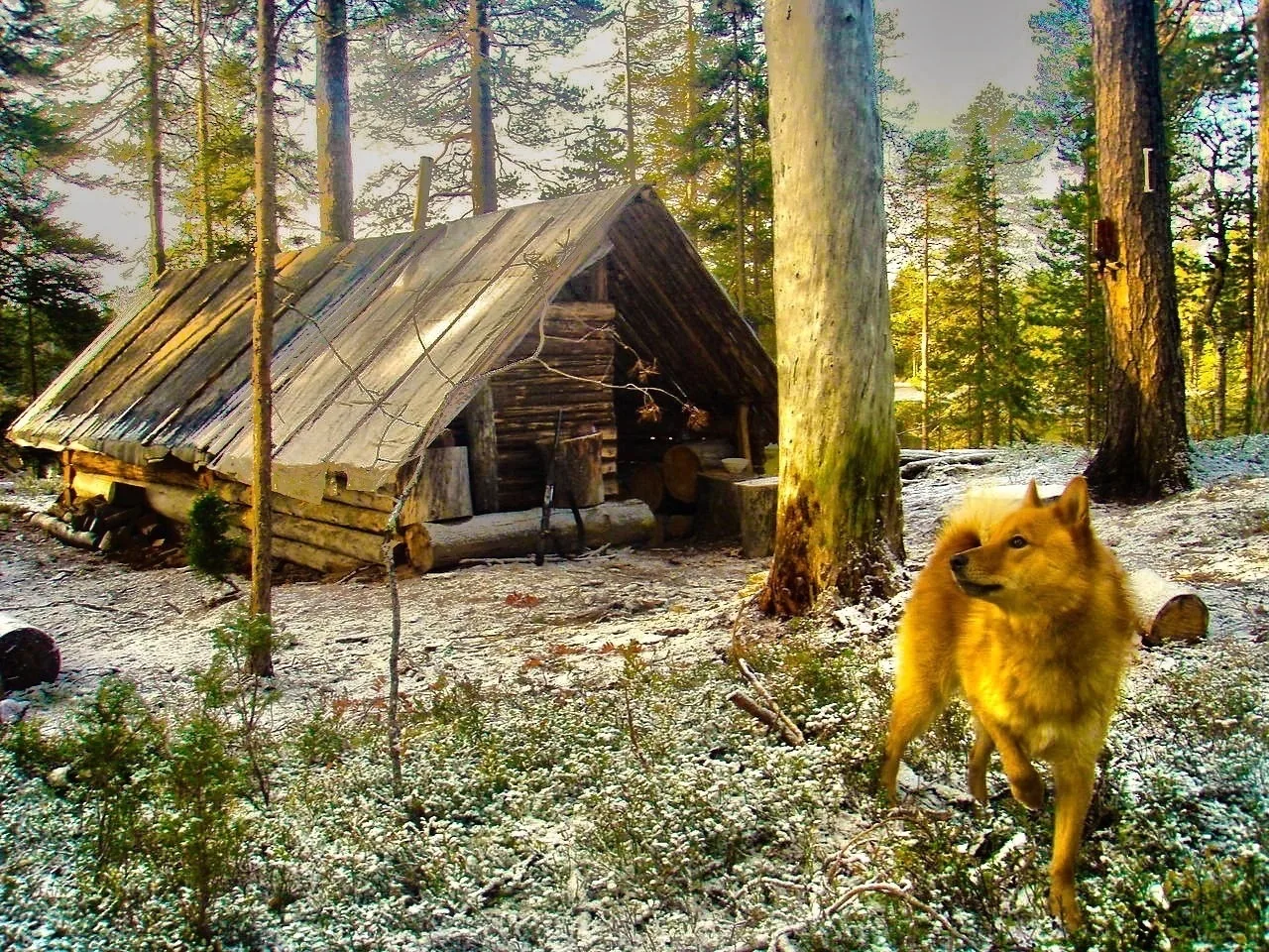 Логотип канала