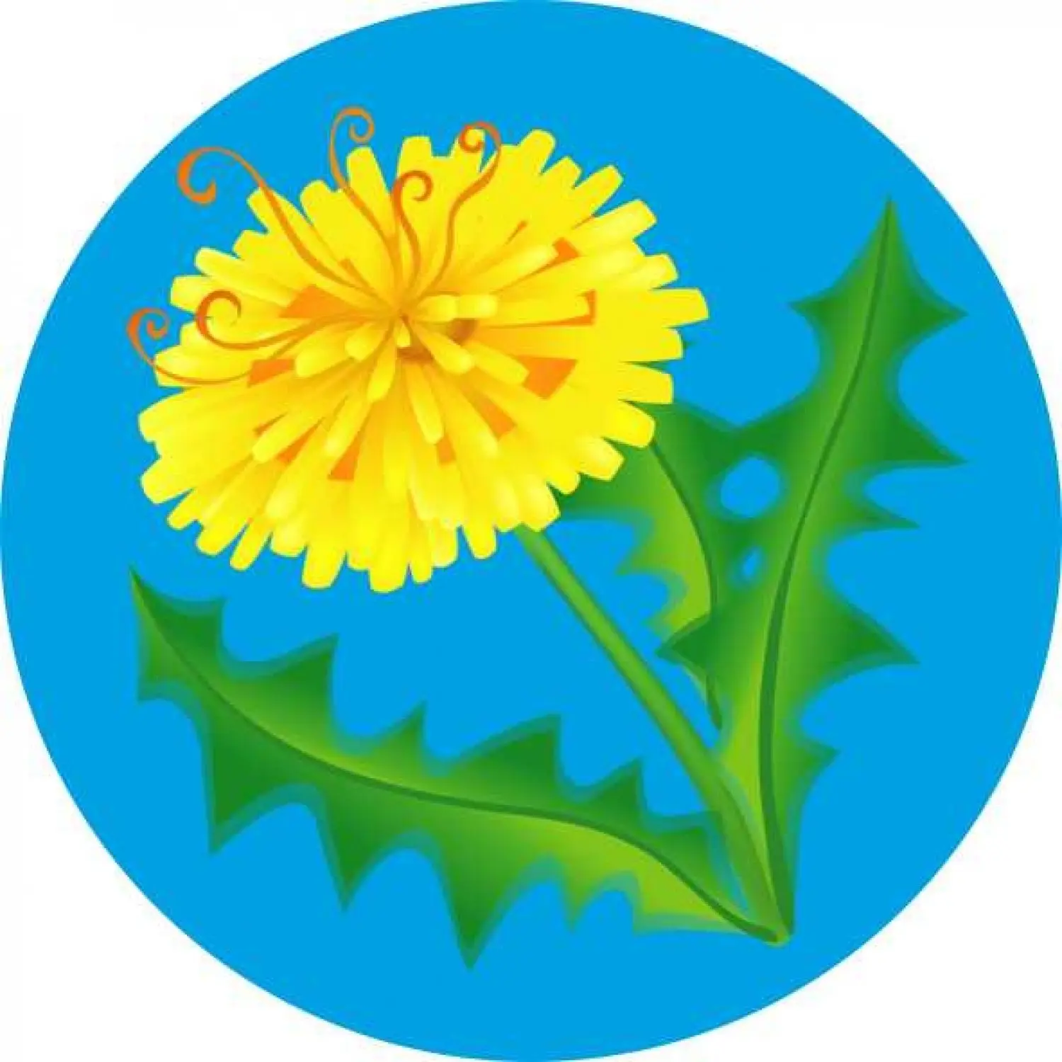 МКДОУ "Д/С №31"