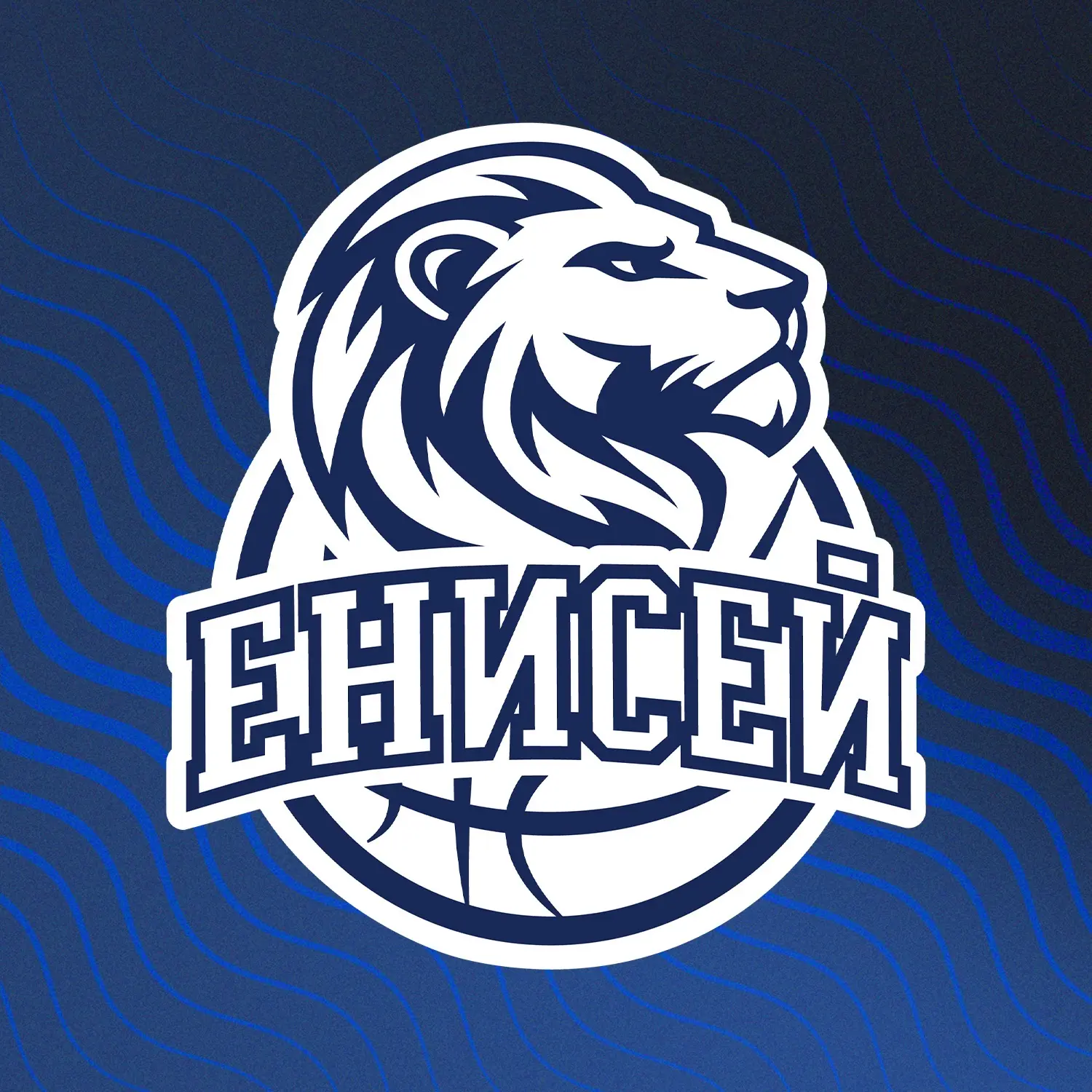 Баскетбольный клуб "Енисей" Красноярский край