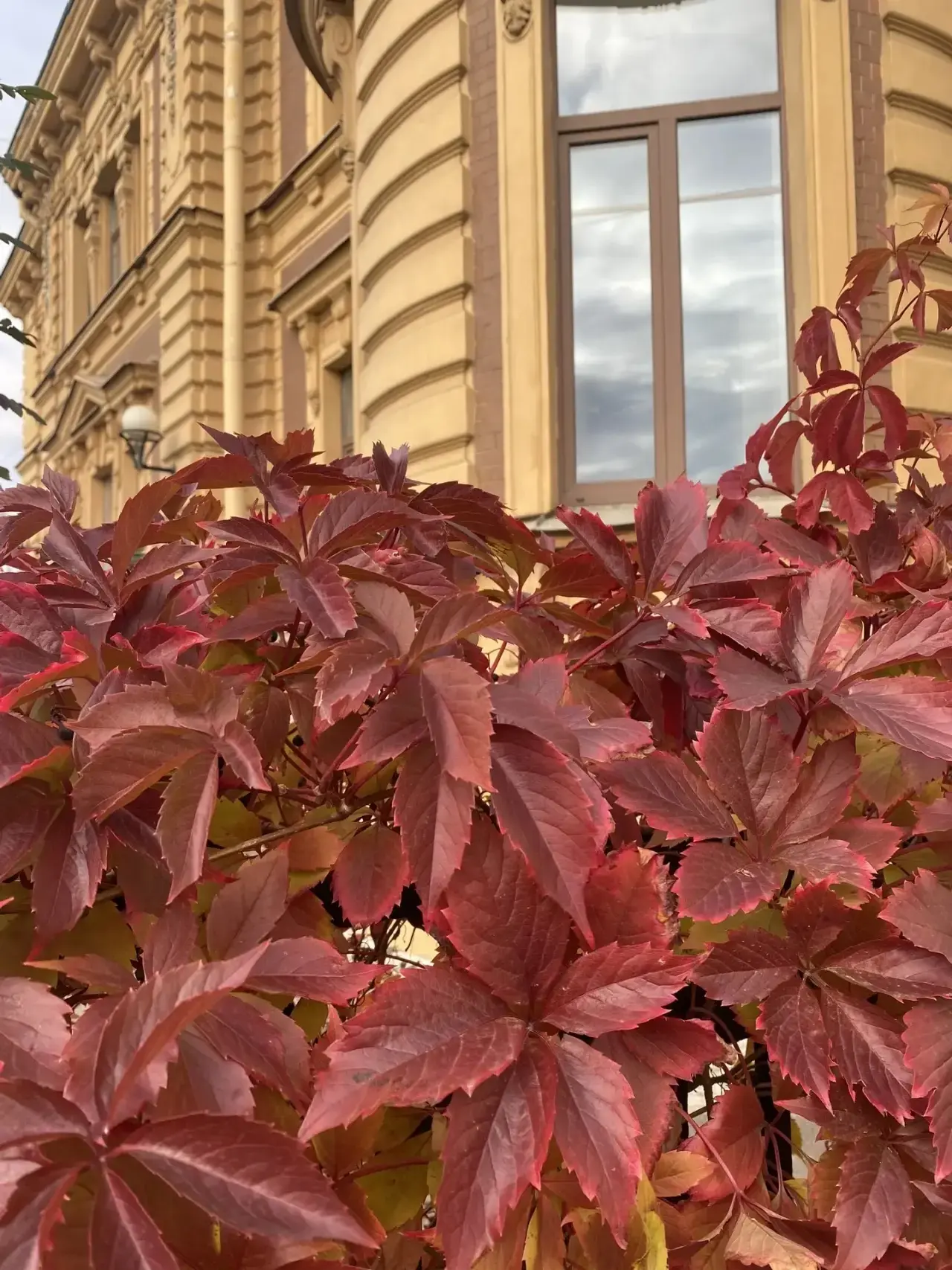 ГБДОУ детский сад № 4 Адмиралтейского района Санкт-Петербурга