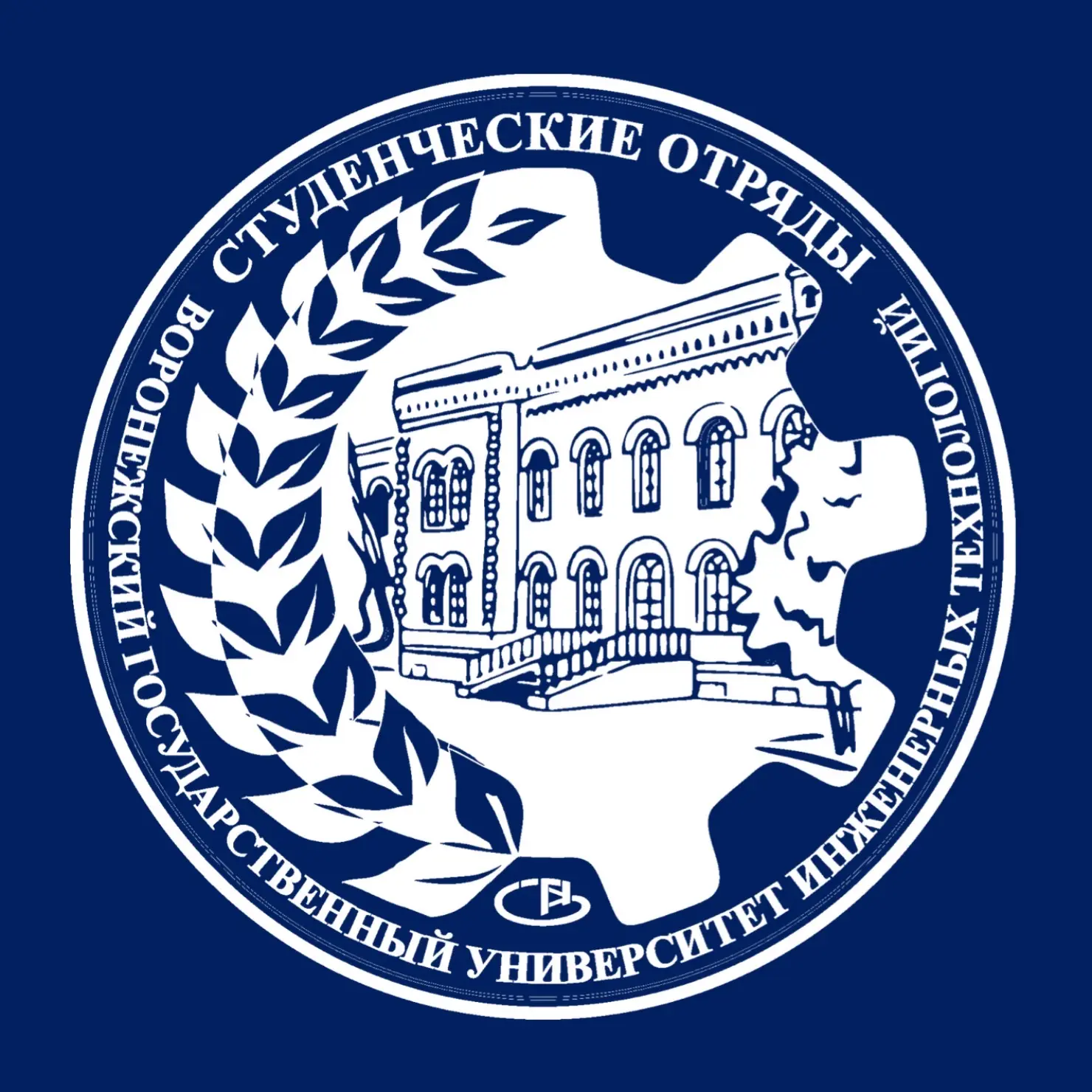 Студенческие отряды ВГУИТ