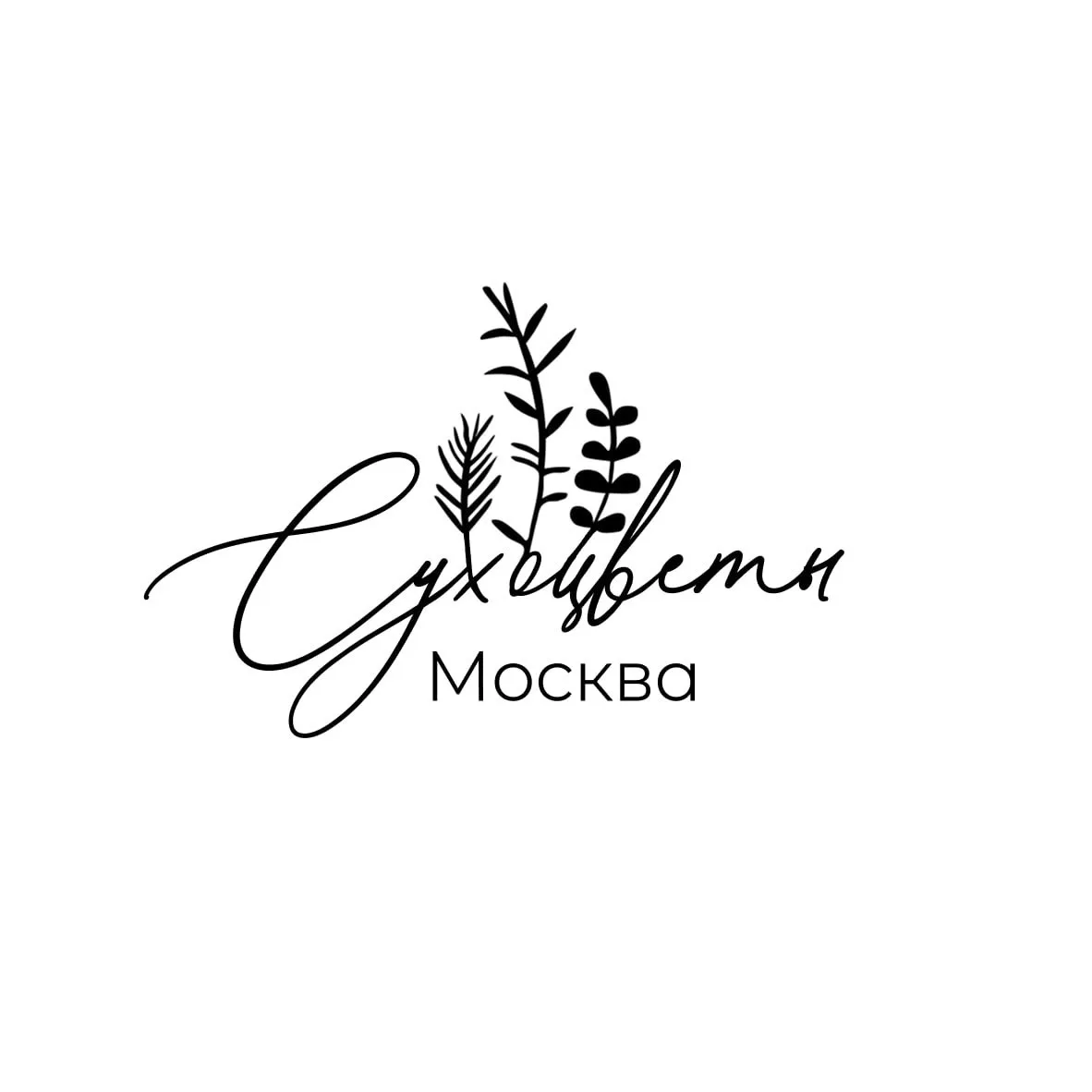 Сухоцветы Москва | Стабилизированные цветы