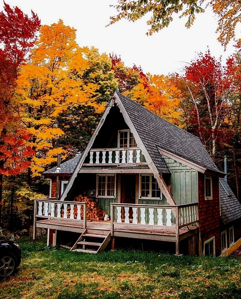 Дачные хитрости 2026  | Сад | Огород