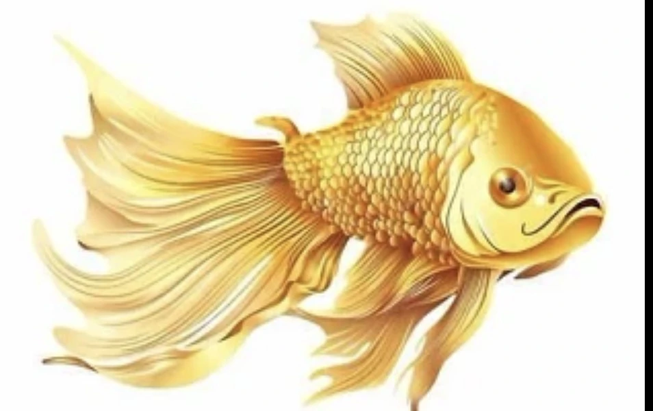 МБДОУ Д/с № 29 "Золотая рыбка"