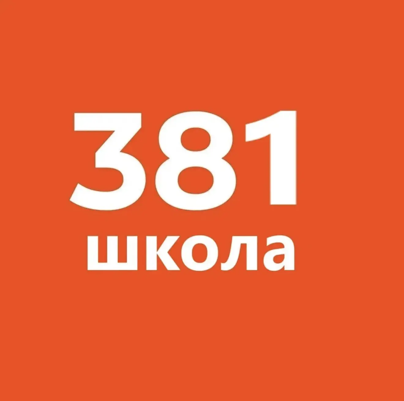 ГБОУ СОШ №381 Кировского района Санкт-Петербурга — канал в мессенджере MAX