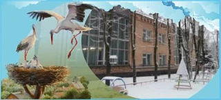 МБДОУ "Детский сад № 30 "Аист" город Смоленск