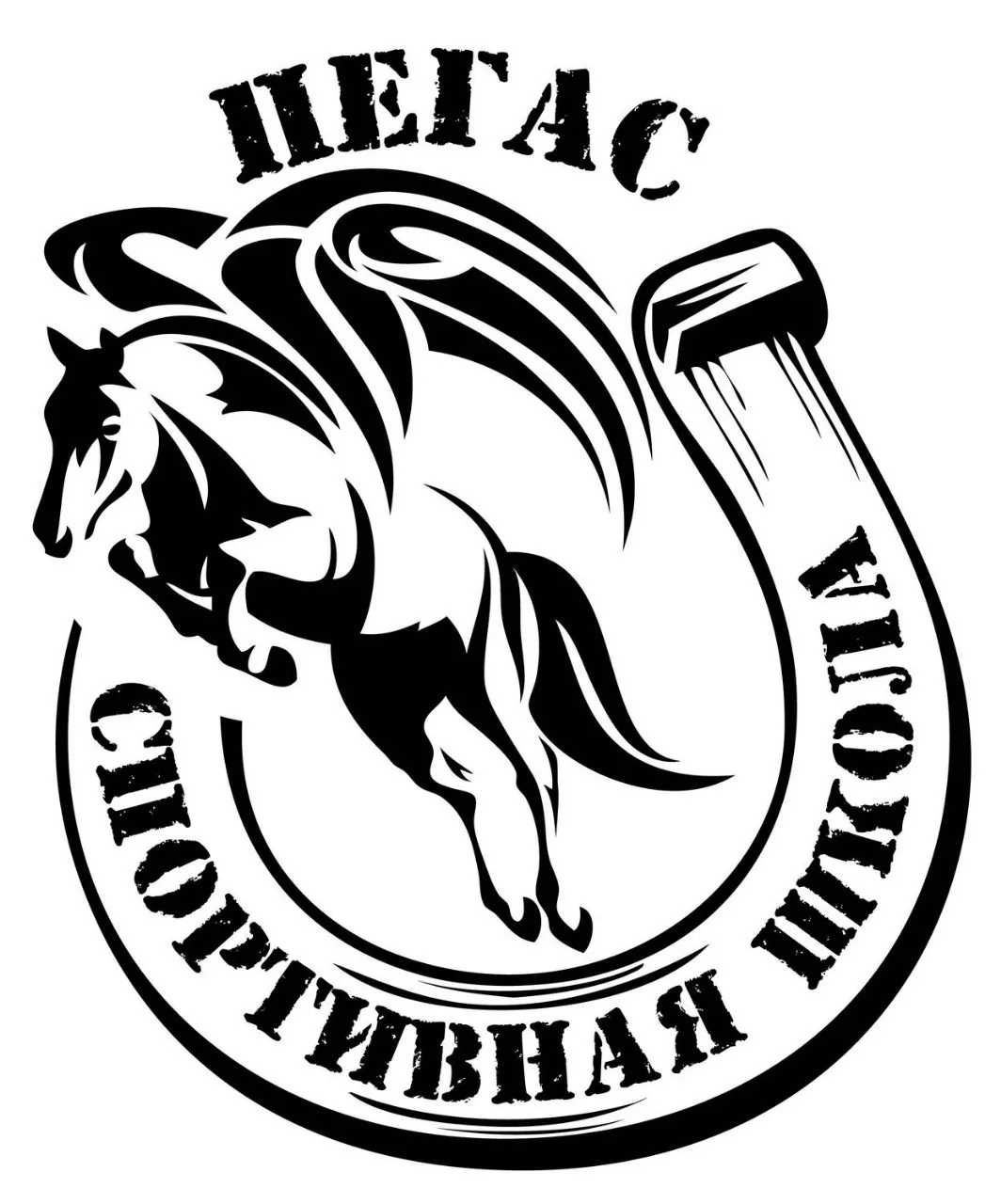 МАУ ДО СШ "Пегас" имени Героя РФ Сукуева В.В. — канал в мессенджере MAX