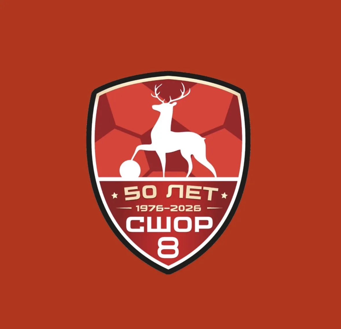 СШОР №8 по футболу Нижний Новгород