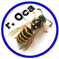 Оса | Осинский район, Пермский край - Объявления