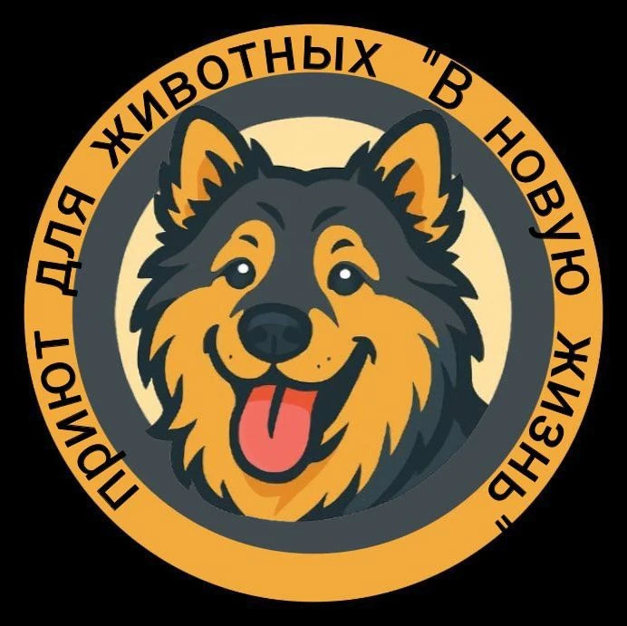 Приют "В новую жизнь" — канал в мессенджере MAX