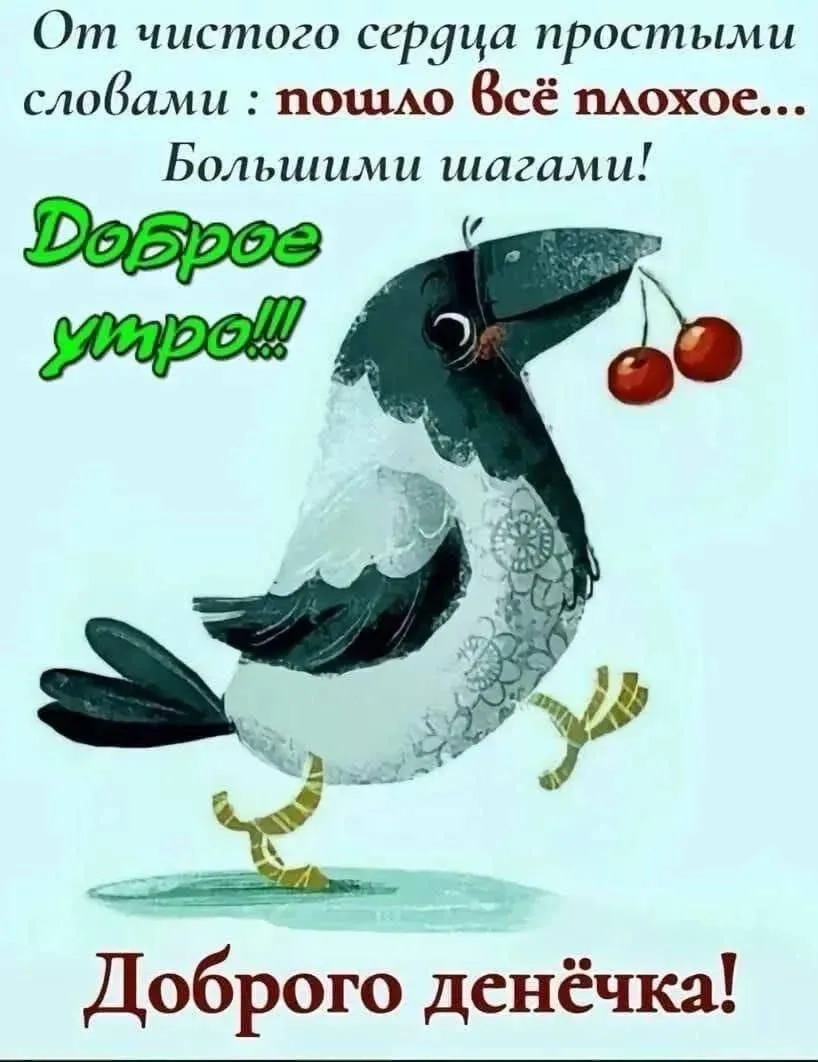 Весёлая ворона 🦚🦆 — канал в мессенджере MAX