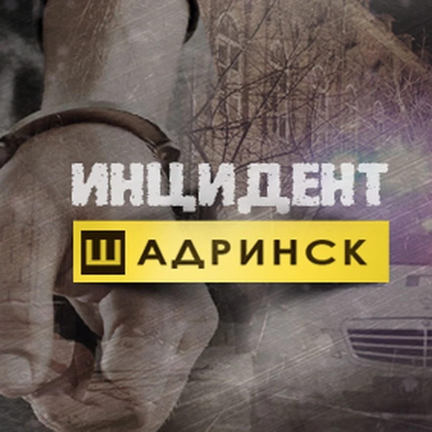 Инцидент © Шадринск — канал в мессенджере MAX