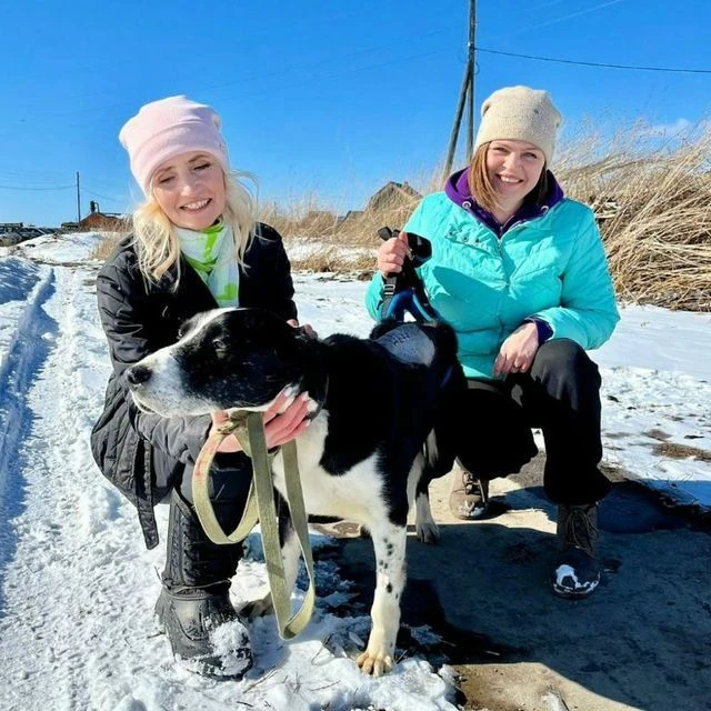 Приют для животных "Добрые руки" — канал в мессенджере MAX