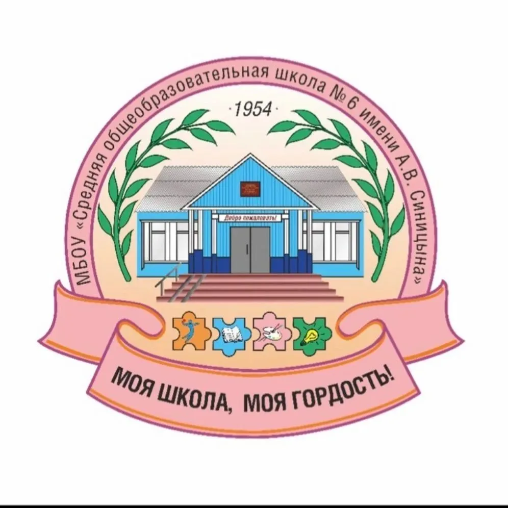 МБОУ "СОШ 6 им. А.В. Синицына"