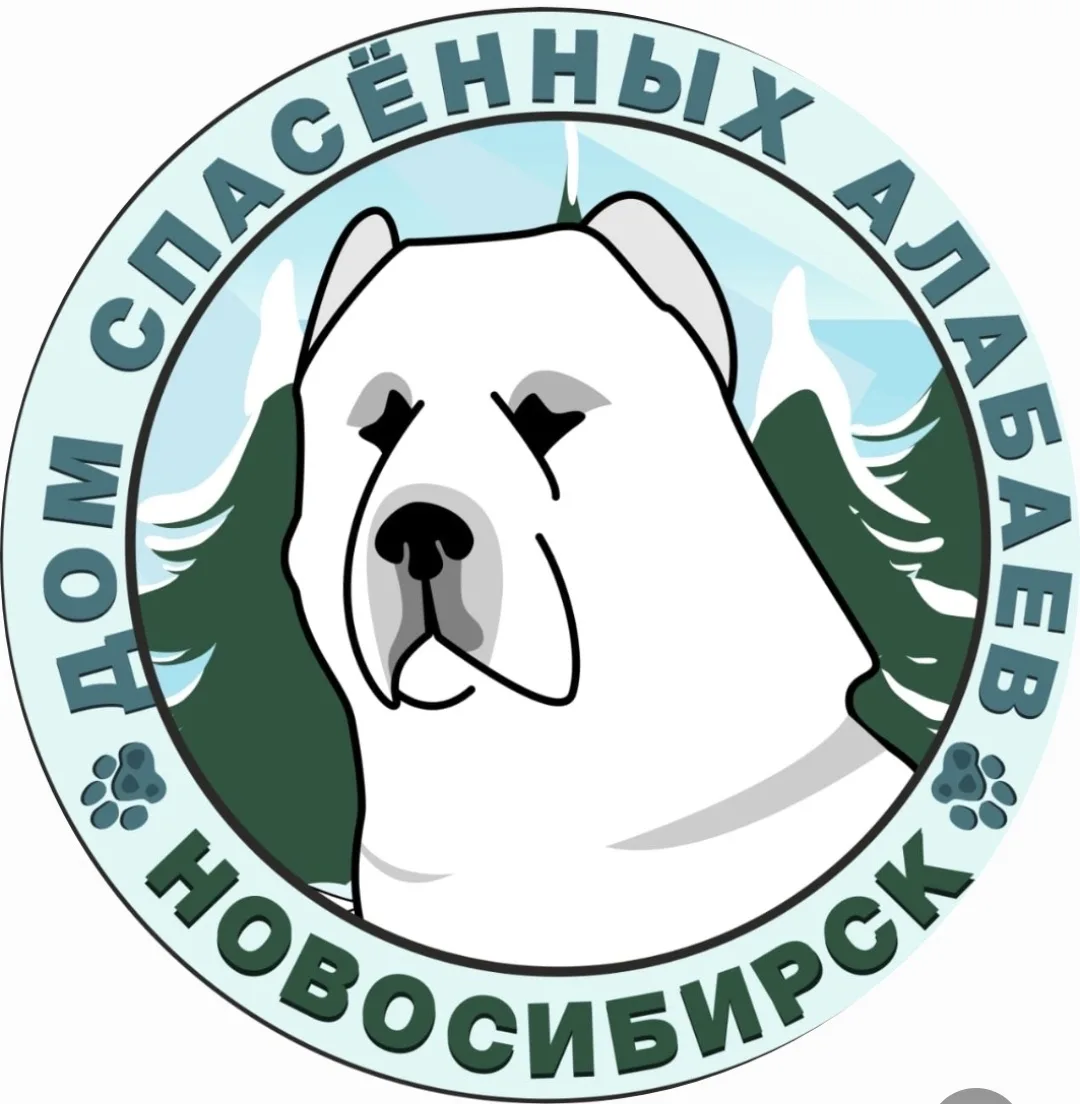 АНО «СИБИРСКИЙ АЛАБАЙ» — канал в мессенджере MAX