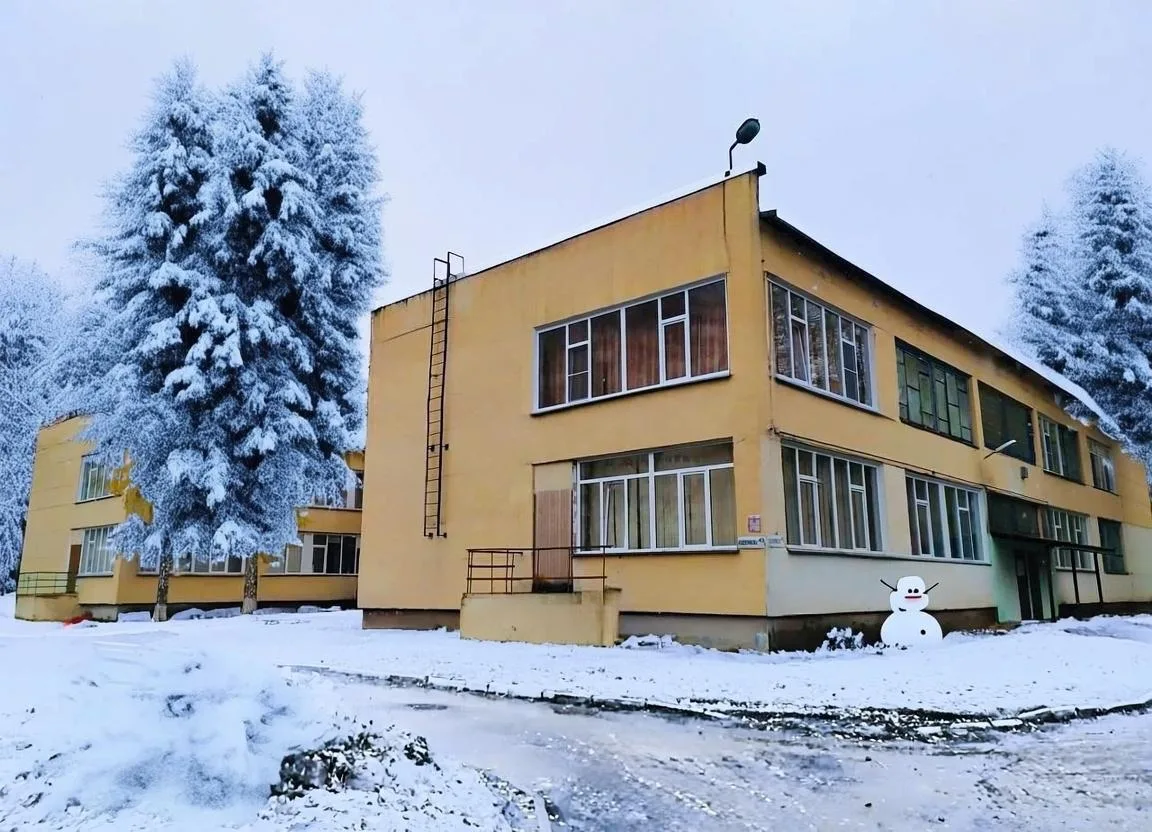 МБДОУ д/с № 401